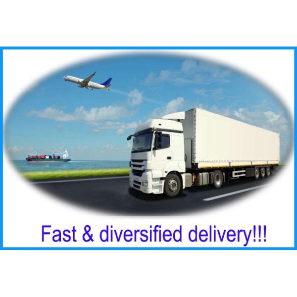 Tall Storage Pharmaceutical Storage Cabinet 2 Door Lab Vessel Cabinet