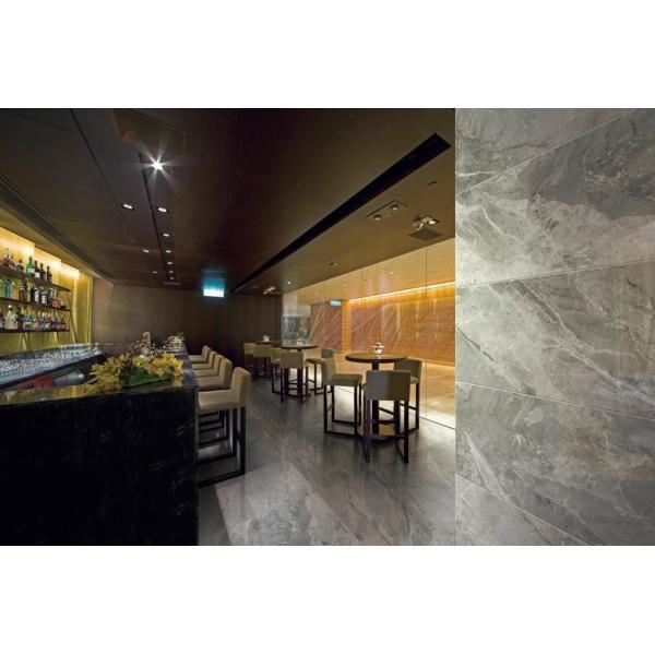 Chemical Resistant Polished Marble Porcelain Tile 24 X 48 X 0.47 Inches