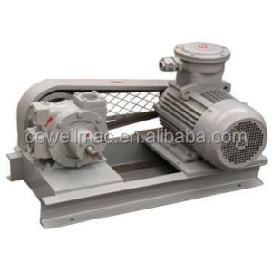 LYB – 2000 LPG Vane Pump