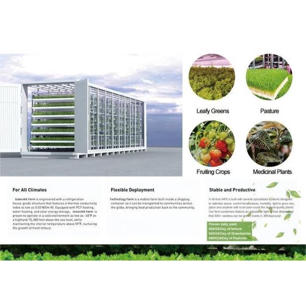 jx-container-greenhouse Vertical Plant Factories for Growing Vegetable Fruits Flowers
