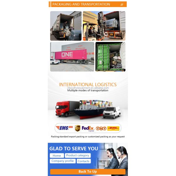 Poultry Farm Automatic Equipment Multi Tiers Pullet Layer Egg Hen Chicken Cage Day Old Baby Chickens Pullet Chicken Cage