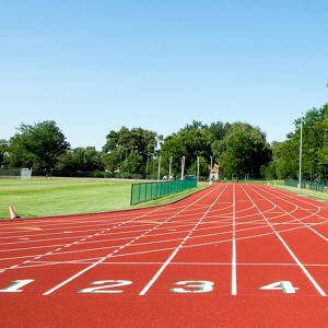 Cheap IAAF Standard Stadium Athletic Synthetic Jogging Track Non-Toxic wholesale