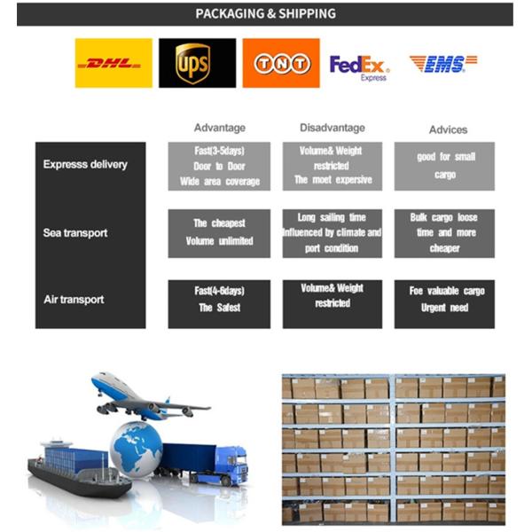 High Quality Doosan Daewoo Excavator Hydraulic Parts DH500 Swing Bearing Swing Circle