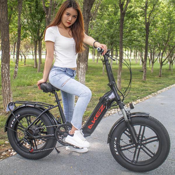 Quality 40Km/H Lithium Battery Magnesium Alloy Variable Speed Electric Bicycle for sale