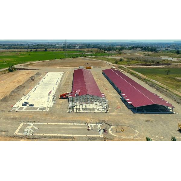 Galvanized A Type Chicken Cages Layer Poultry with ISO9001 2008/CE/BV Certification