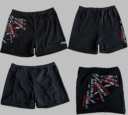 Quality waterproof swimming brief shorts men swimsuit male swimsuit XXXL quick drying mens swim swimming trunks