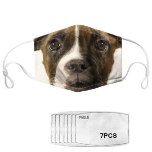 Cheap Reusable Dog Pattern Anti Pollution Printed Face Mask wholesale