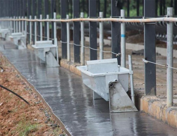 50mm Insulation Galvanized Dairy Farm 1m Cow Water Trough
