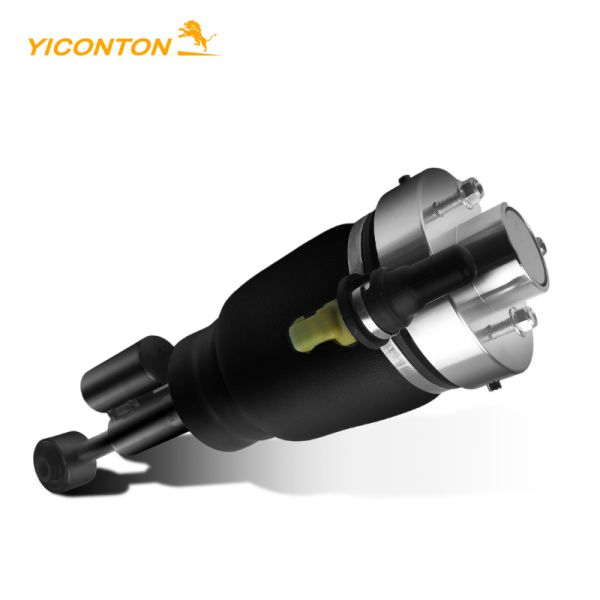 3L1Z18A099AA Air Suspension Strut Front Right For Ford Expedition 2003-2006