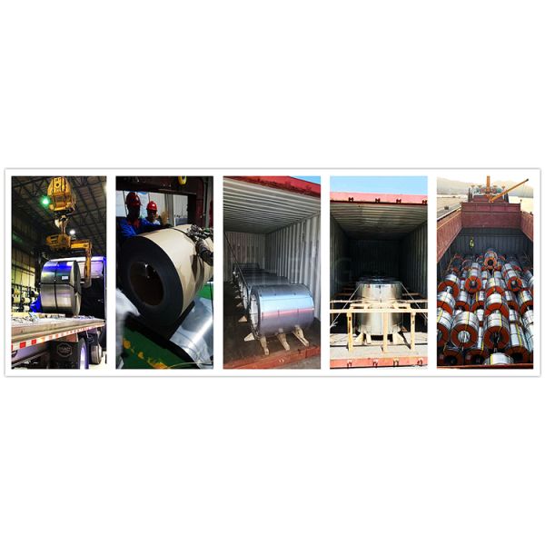 Zinc Coating GI Steel Coils ASTM A653 Galvanized Iron Coil SPCC