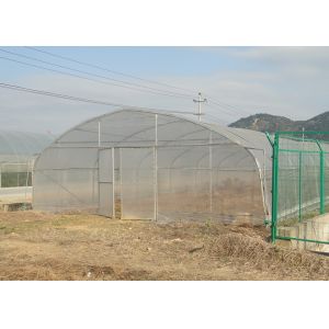 Cheap Backyard Agricultural Poly Tunnel Greenhouse Hot House For Plants wholesale