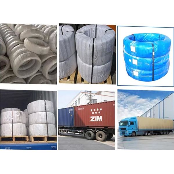 Galvanized Steel Wire Hot Dipped Galvanized Iron Wire
