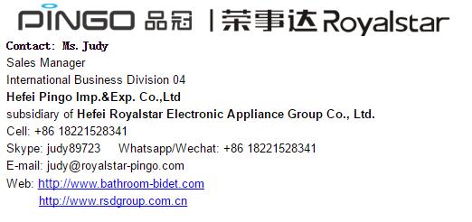 New Model Intelligent Heated Seat Bubble Washing Electric Bidet