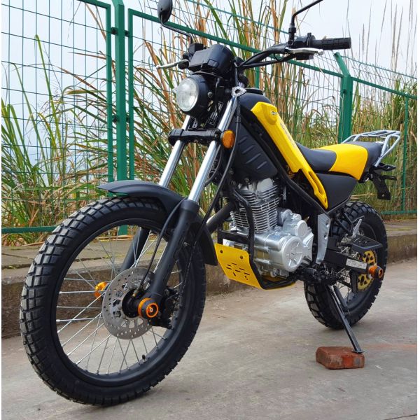 250cc Electric Dirt Bike 6 Gear RE250 Engine Hydraulic Disc Brake