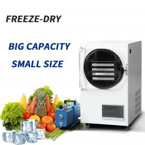 Cheap Freezed Dryer Vacuum Machines Industrial Coffee Mushroom Food Lyofilizing wholesale
