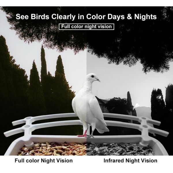IP66 Waterproof 4MP Smart Bird Feeder 2.5L Wildlife Smart Bird Camera
