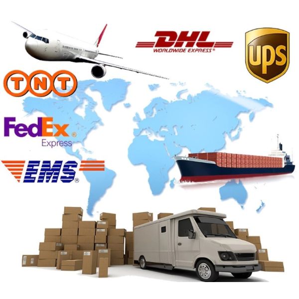 Durable Clear Non Latex Gloves / Disposable Food Preparation Gloves