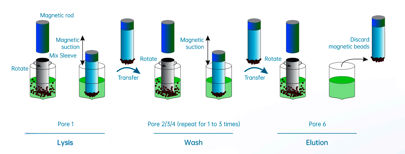 Renji Nucleic Acid Extraction Kit , Magnetic Bead Viral Rna Purification Kit