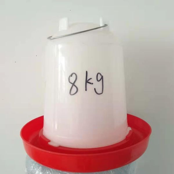 8L Pigeon Broiler Floor Baby Chick Water Feeder