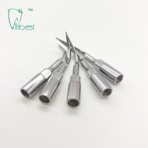 P1 Woodpecker Ultrasonic Tips Dental Hygiene Stainless Steel