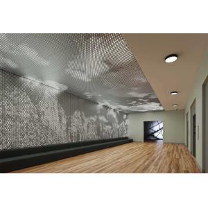 Metal 3D Aluminium Ceiling Panel Baffle Plate Suspended Stretch