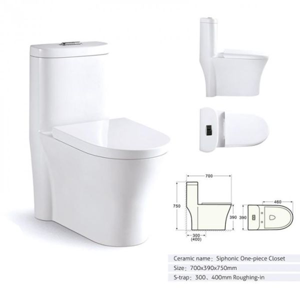 Modern Sanitary Ware Ceramic Toilet Floor Mounted With Dual Flushing System