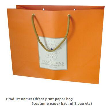 Hotsale Luxury paper carrier bag with touch film,Luxury custom paper carrier bag with eyelet,paper carrier party luxury