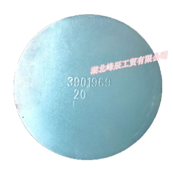 Dongfeng/Dcec Kinland Engine Parts Auto parts for Truck Plug,Expansion C3901969