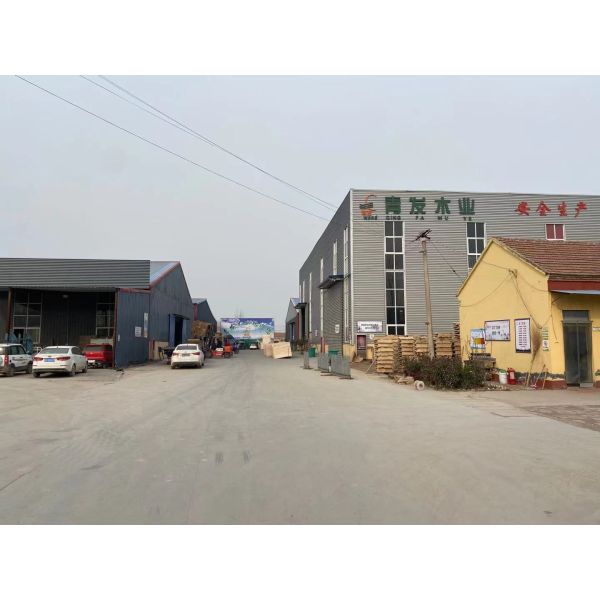 Traditional Design Style 5mm Solid Wood Panel Pine Board for Custom Project Solutions