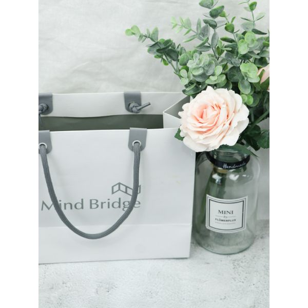 Thick White Cardboard Shopping Bags With Grey Color Printing Eco Friendly