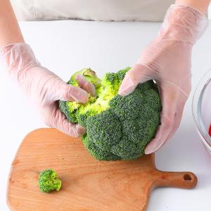 Soft Clear Vinyl Gloves Powder Free Latex Free Disposable Gloves