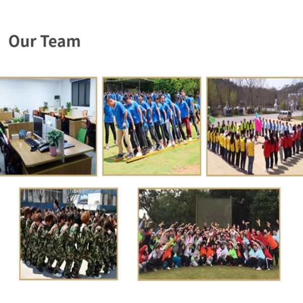 Polyester Fibre 3 In 1 32cm Dog Cat Carriers Backpack