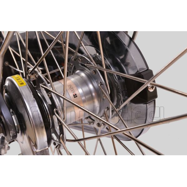 250W 36V Urban City Electric Bike 7.8Ah Samsung Cells