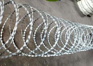 Cheap Snake Belly Razor Barbed Wire 500mm 10M Security Razor Wire Fencing wholesale
