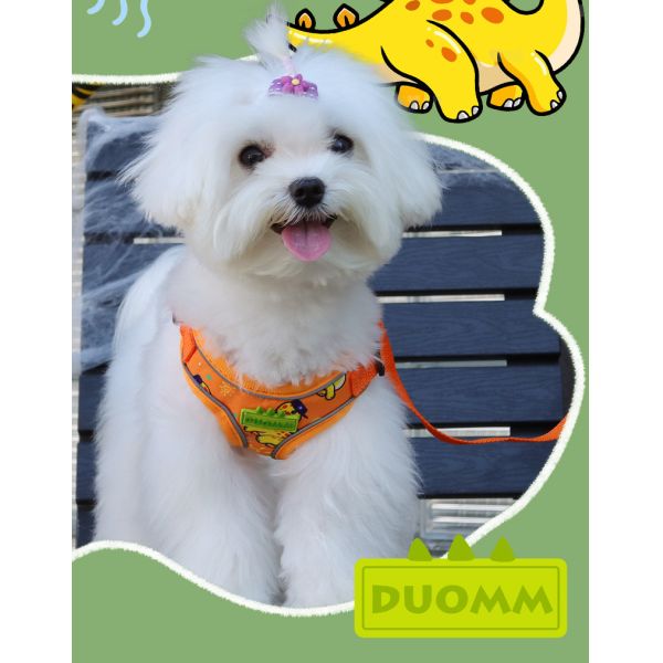 New dog leash small and medium-sized dog chest harness cartoon dinosaur dog walking rope reflective pet chest harness