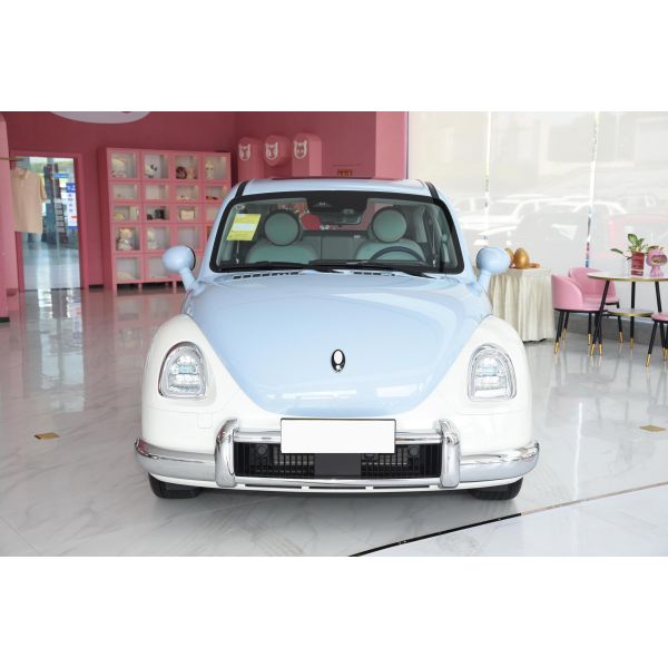 500km Mini High Speed Electric Cars Great Wall Ora Ballet Cat 5 Seats