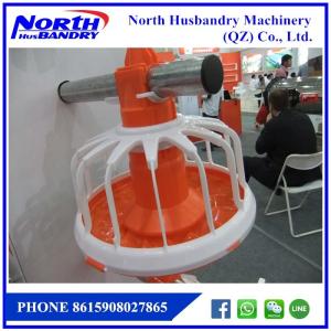 Cheap Low Price Automatic poultry Broiler Chicken Feed Line Drink Line wholesale