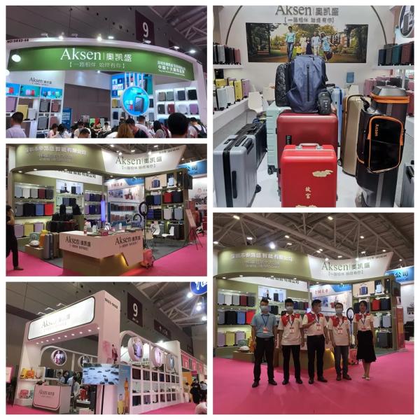 Polyester Lining Self-lock Zippers Cat Small Dog Carriers-Suitcase Set for Convenient Pet Travel