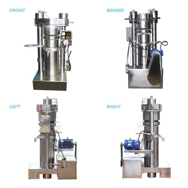 Heavy Duty Hydraulic Press Machine For Avocado Oil Production High Efficiency