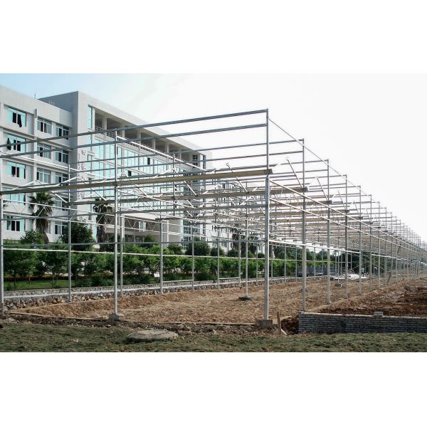 UV Resistant, Temperature-Regulated PC Greenhouse With Large Ventilation Areas - Perfect For High Value Plants