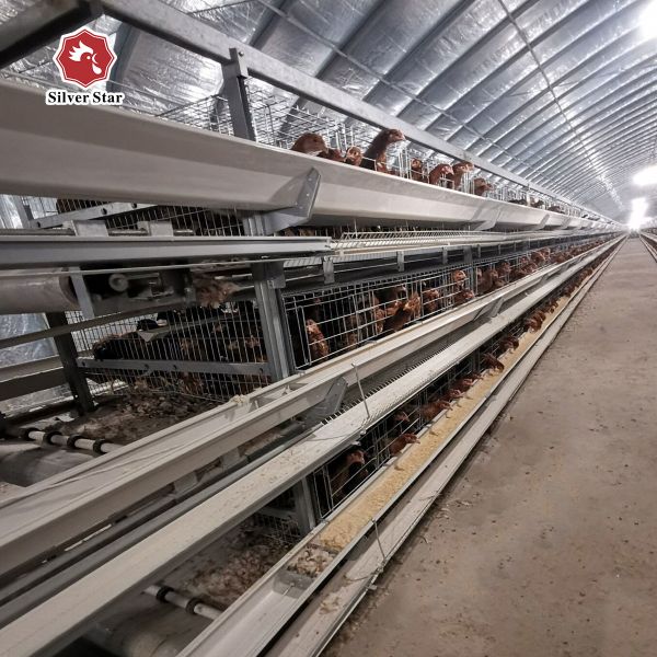 Hot Dipped Galvanized Chicken Farm Cage 5 Layers / Cell