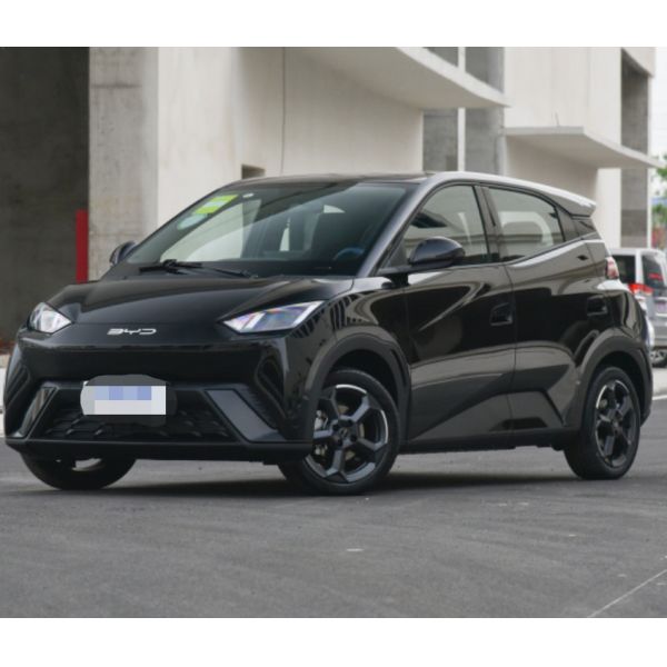 Top EV Cars Seagull 2023 flying version Electric Small car 5 door 4 seat hatchback