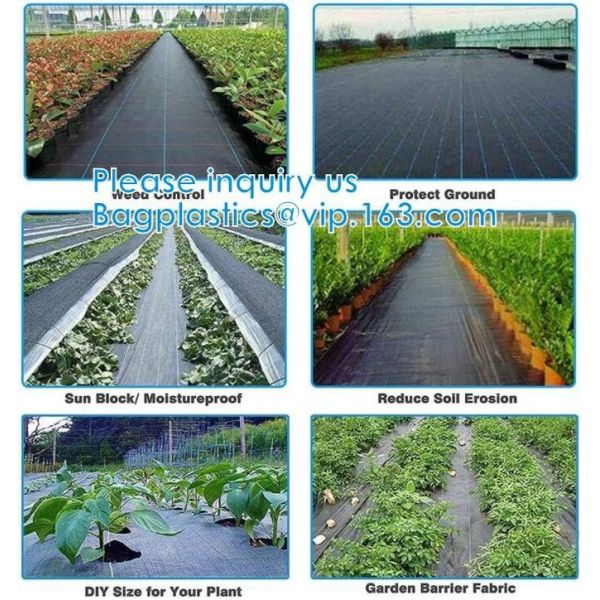 Customized Grade Gardening Fabric Rolls, Weed Control, Eco-Friendly, Flower Bed, Mulch, Pavers, Edging, Garden Stakes 23