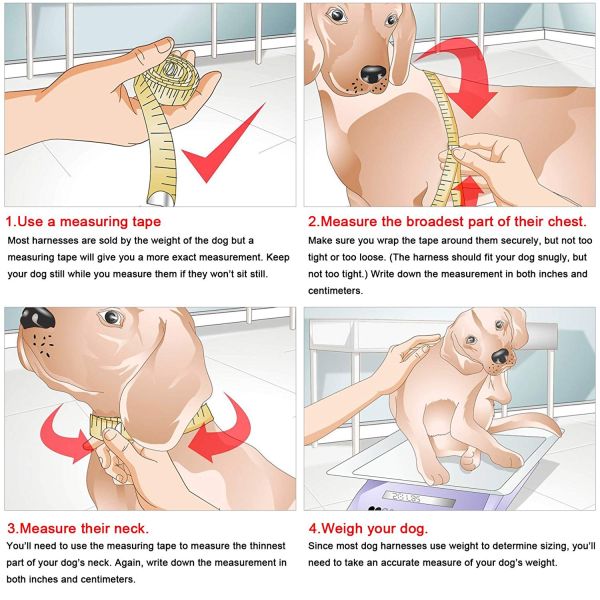 Puppy Cat Small Girl Dog Dots Vest Harness Leash Set Mesh Padded No Pull Lead