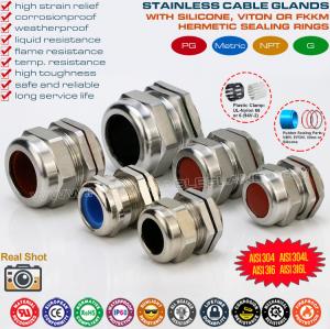 Cheap 304, 316, 316L Polished Stainless Steel IP68 Cable Glands with Fluoroelastomer Seals wholesale