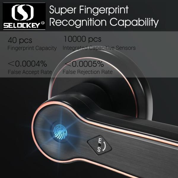 Quality S1580 Smart Fingerprint Electronic Bedroom Door Lock for sale