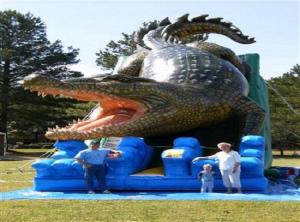 China Alligator Waterproof Comercial Outdoor Wet Kids Inflatable Slide PVC Tarpaulin on sale