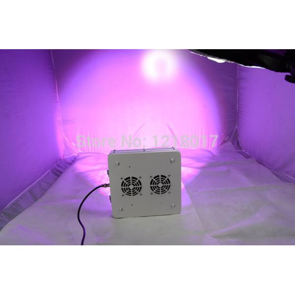 Best Selling Product In American wholesale hydroponics led grow light 5w chip