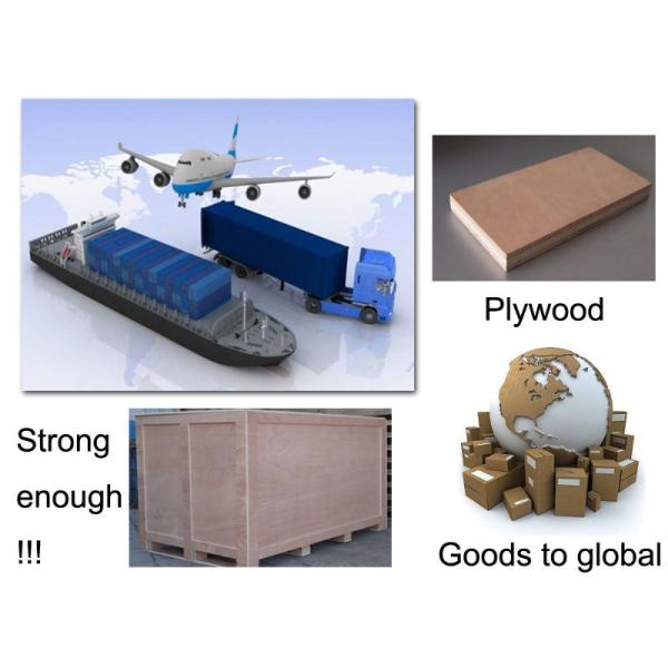 Hospital Reagent Cabinet Computer Lab Furniture Electrostatic Spraying Surface