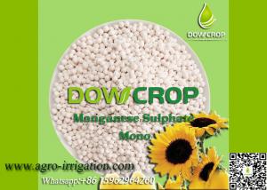 Cheap DOWCROP HIGH QUALITY 100% WATER SOLUBLE MONO SULPHATE MANGANESE 31.8% PINK GRANULAR MICRO NUTRIENTS FERTILIZER wholesale